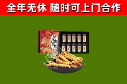 德城区回收冬虫夏草价格